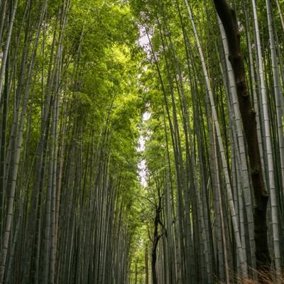 百度混元劫官方下载